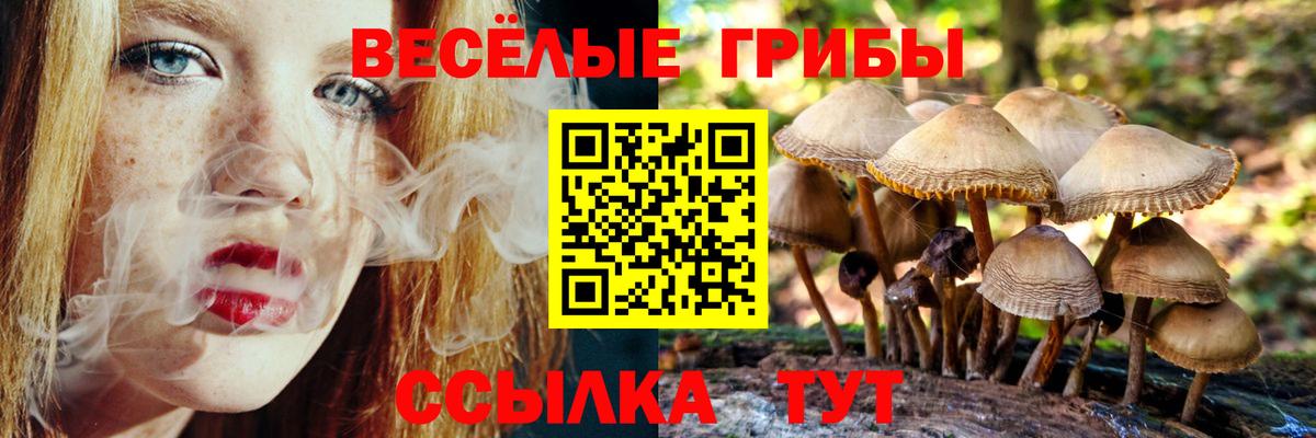 Псилоцибиновые грибы Cubensis  Галлюциногенные грибы мицелий  Зеленодольск  Вход с VPN 