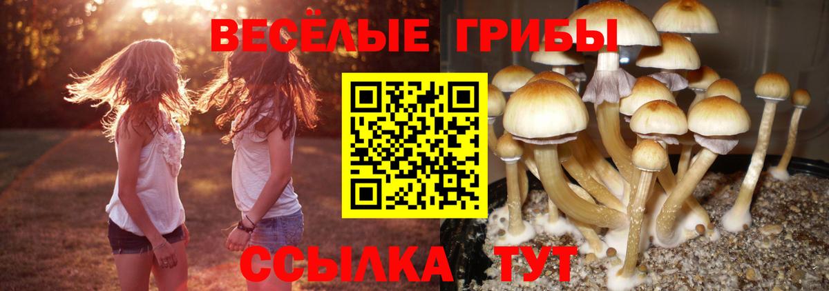Псилоцибиновые грибы мухоморы Зеленодольск