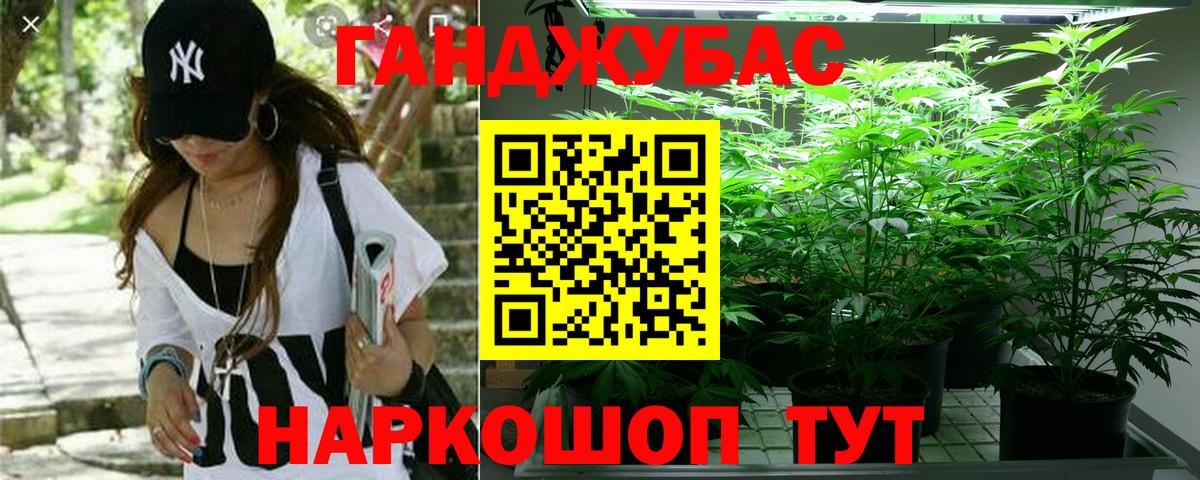 Конопля планчик Зеленодольск